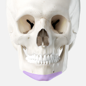 Chin Augmentation