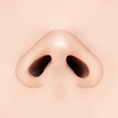 If the area below the nostrils is wide
