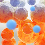 Signature Fat Dissolving Solution