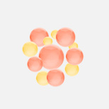 Signature Fat Dissolving Solution