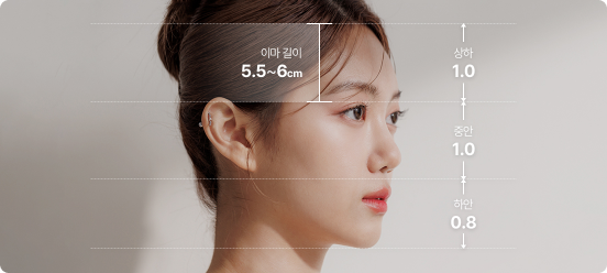 Golden Ratio Forehead Design