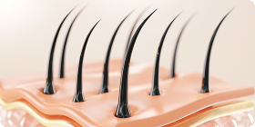 Various Hair Care Services