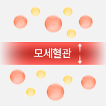 Signature Fat Dissolving Solution