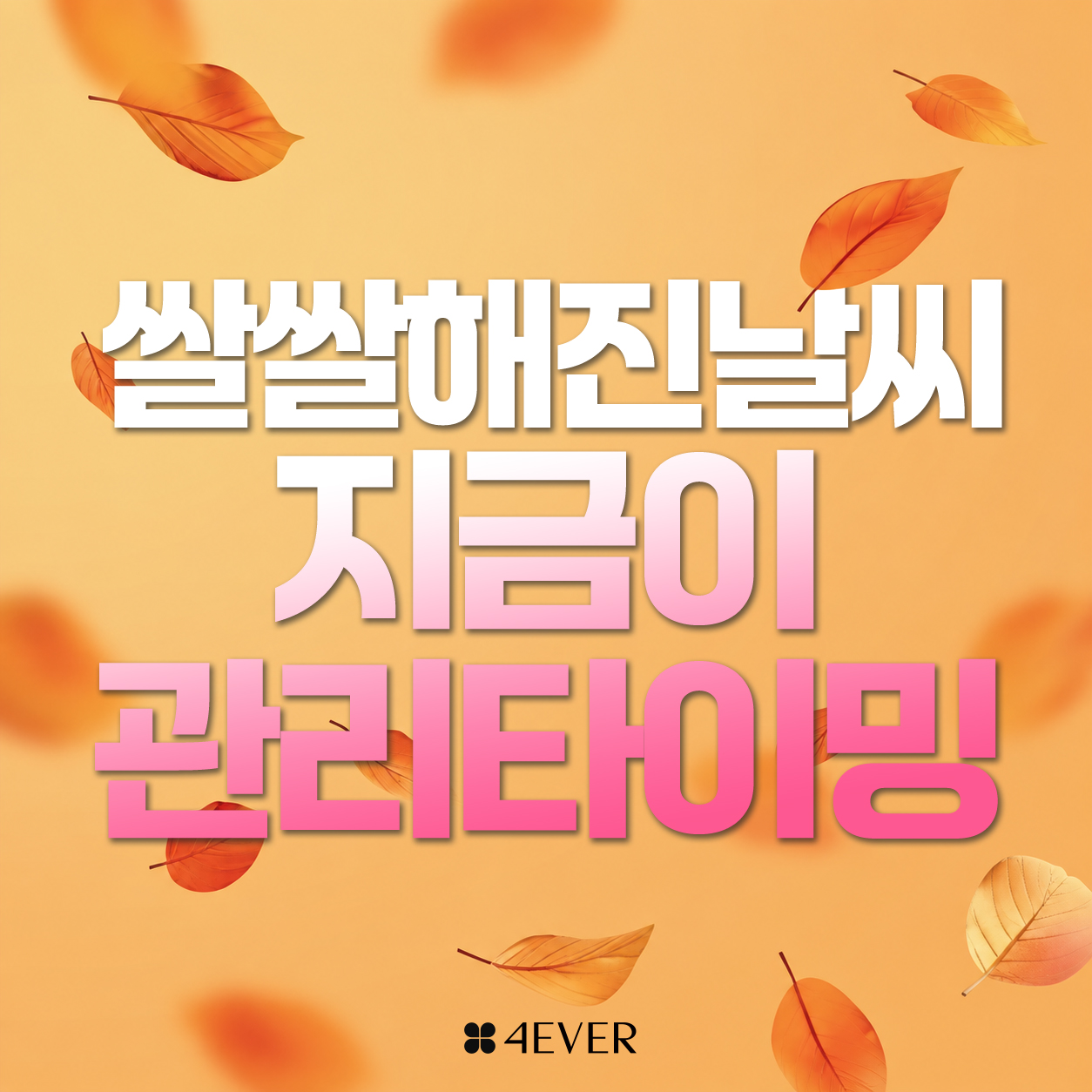 10월 🌾피부🌾 특가